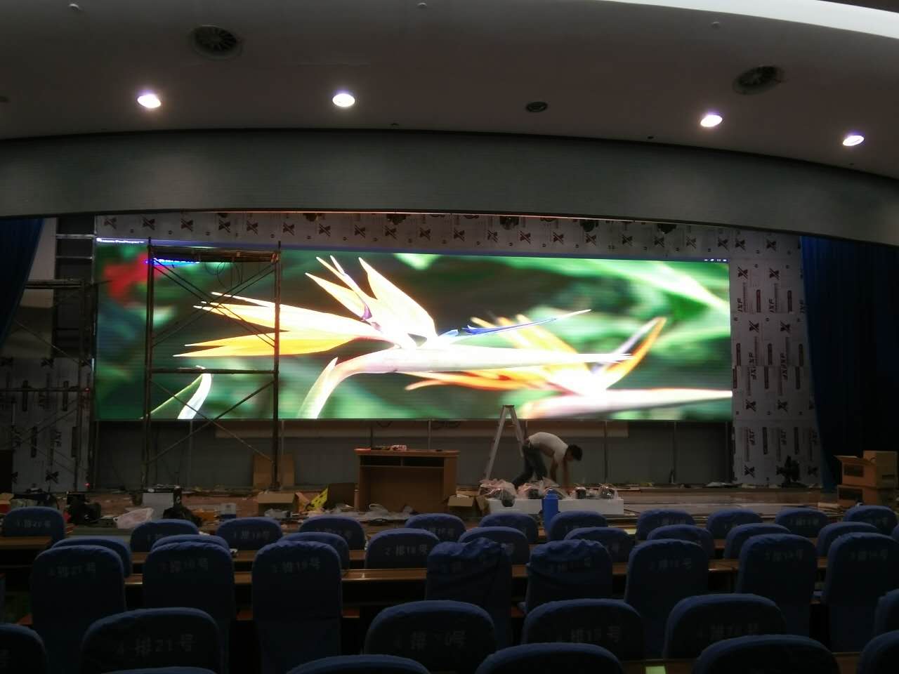 832209063734491191.jpg 832209063734491191.jpg