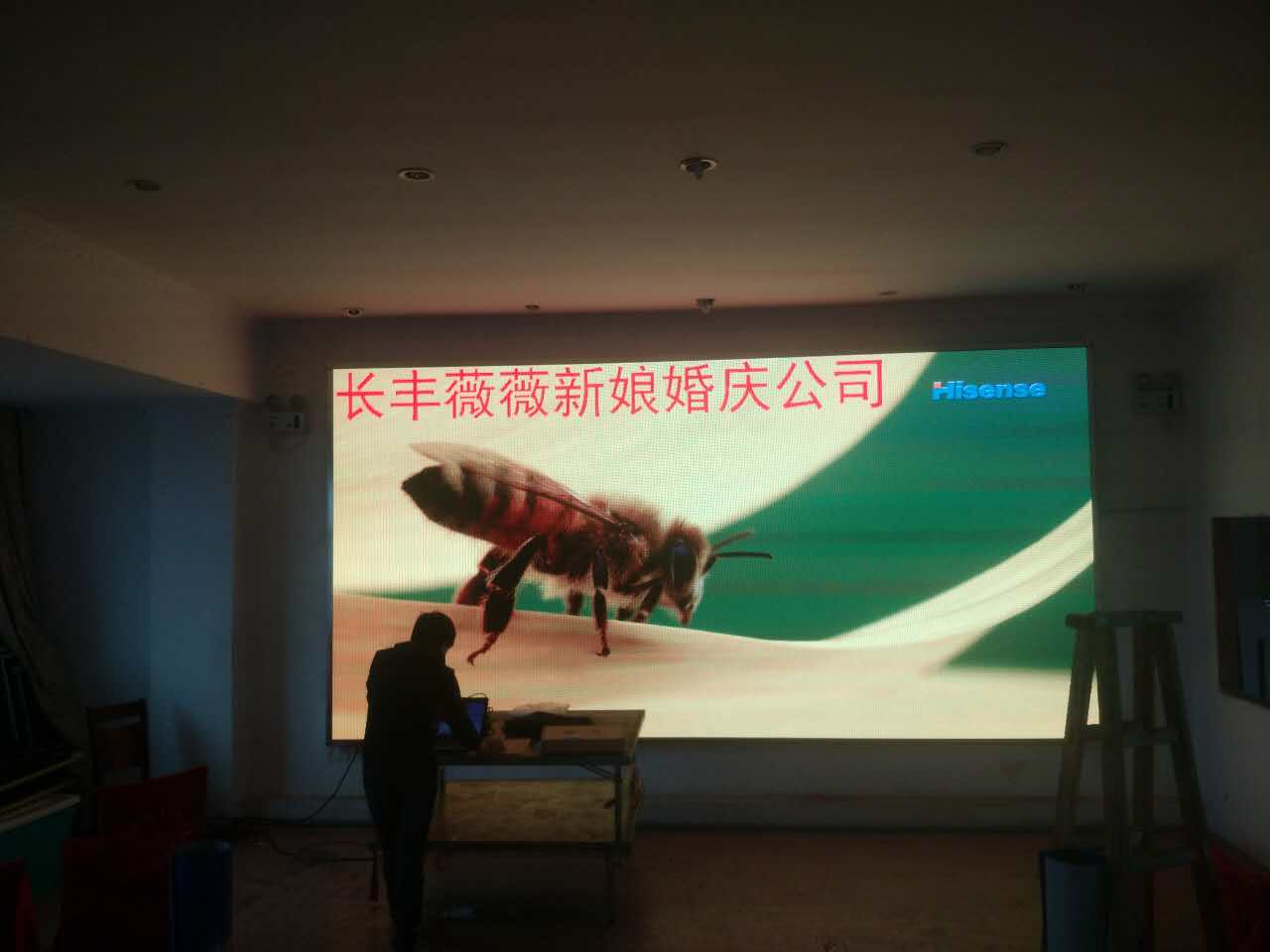 長(zhǎng)豐薇薇新娘 (3).jpg 長(zhǎng)豐薇薇新娘 (3).jpg