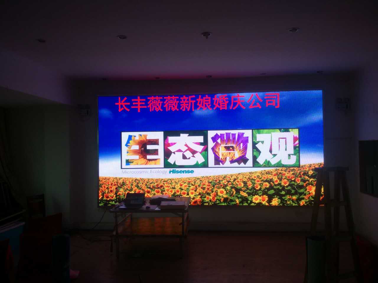 長(zhǎng)豐薇薇新娘 (4).jpg 長(zhǎng)豐薇薇新娘 (4).jpg