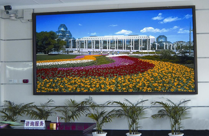 政府單位P2.5全彩室內(nèi)形象墻