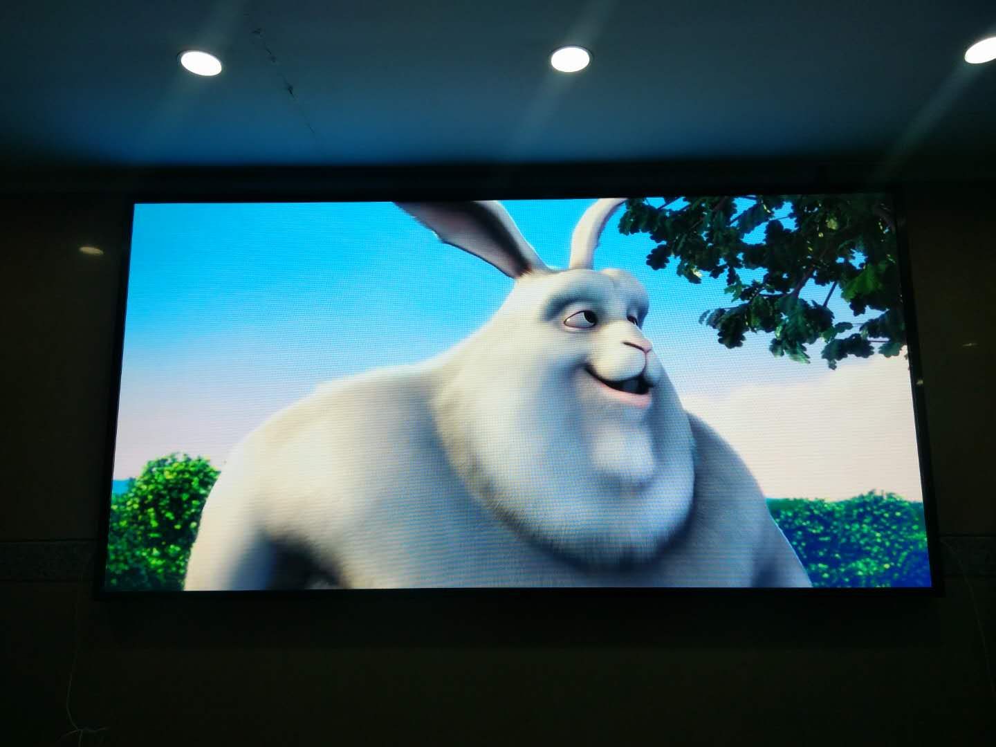 蕪湖鏡湖區(qū)檢察院P2全彩