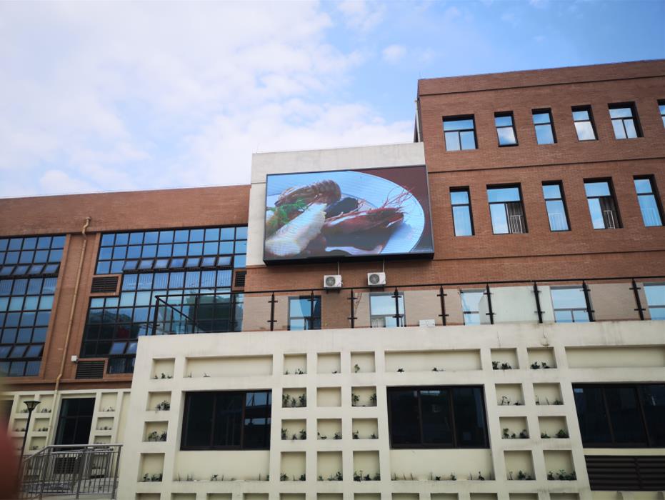 北城中學(xué)戶(hù)外Q4 北城中學(xué)戶(hù)外Q4