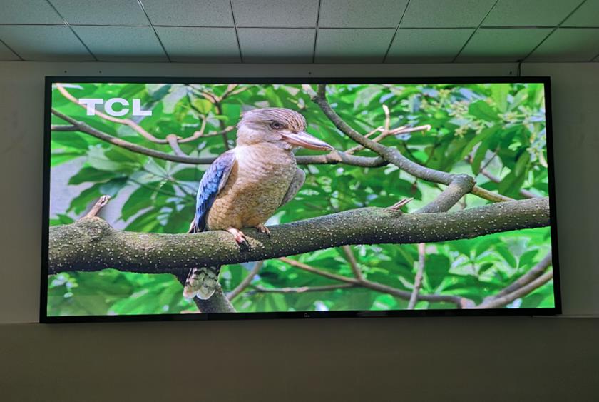 金寨職業(yè)學(xué)院 金寨職業(yè)學(xué)院